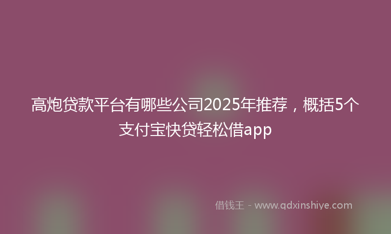 高炮贷款平台有哪些公司2025年推荐，概括5个支付宝快贷轻松借app