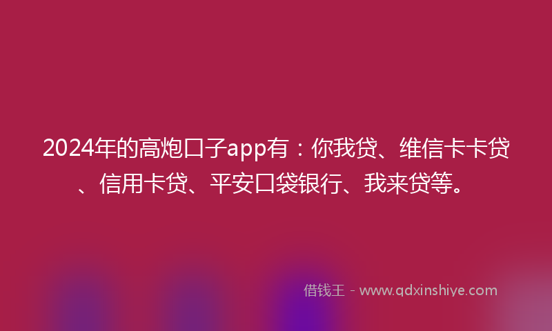 2024年的高炮口子app有：你我贷、维信卡卡贷、信用卡贷、平安口袋银行、我来贷等。