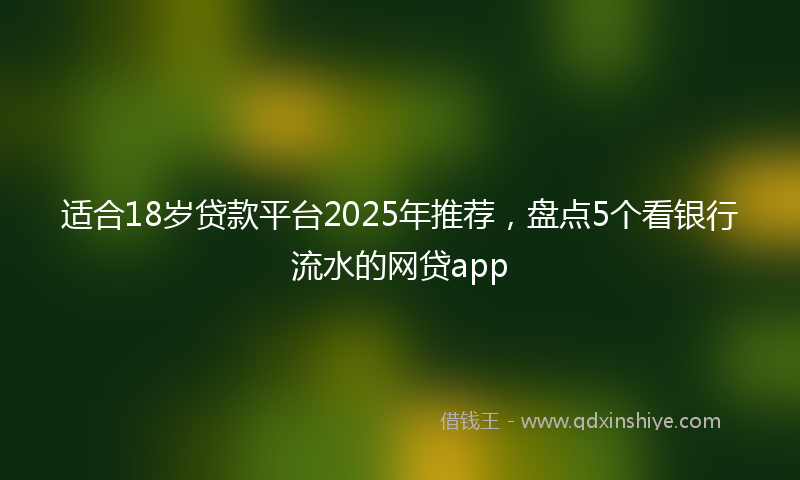 适合18岁贷款平台2025年推荐，盘点5个看银行流水的网贷app