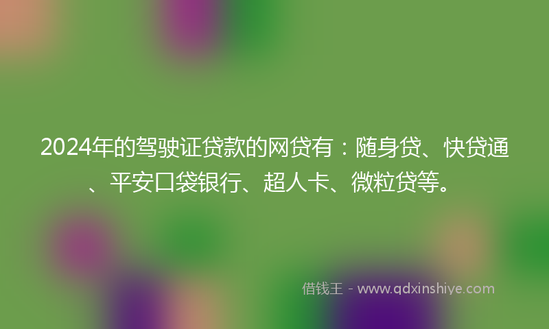 2024年的驾驶证贷款的网贷有：随身贷、快贷通、平安口袋银行、超人卡、微粒贷等。