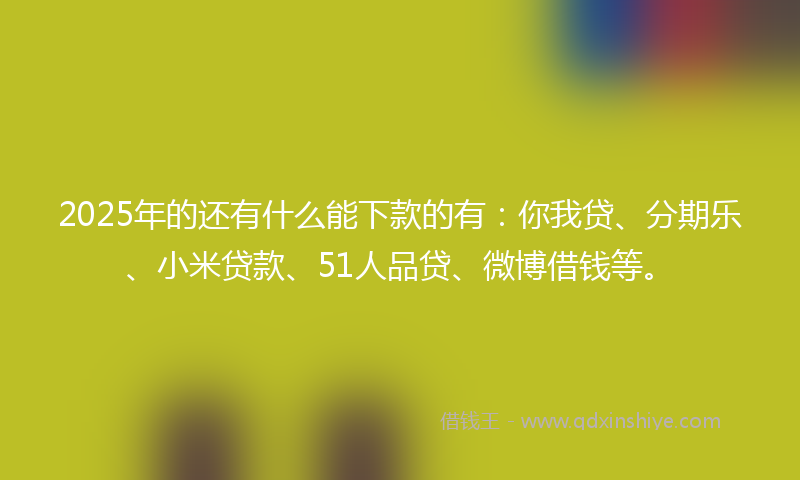 2025年的还有什么能下款的有：你我贷、分期乐、小米贷款、51人品贷、微博借钱等。