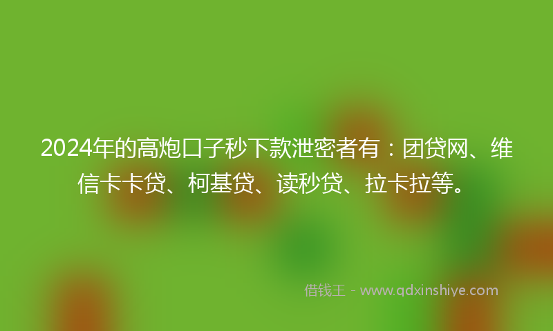2024年的高炮口子秒下款泄密者有：团贷网、维信卡卡贷、柯基贷、读秒贷、拉卡拉等。