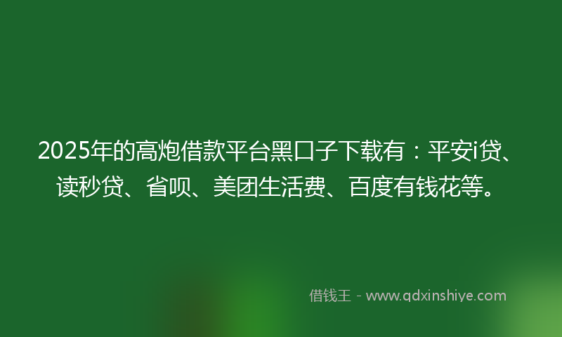 2025年的高炮借款平台黑口子下载有：平安i贷、读秒贷、省呗、美团生活费、百度有钱花等。