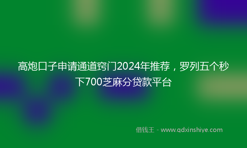 高炮口子申请通道窍门2024年推荐，罗列五个秒下700芝麻分贷款平台