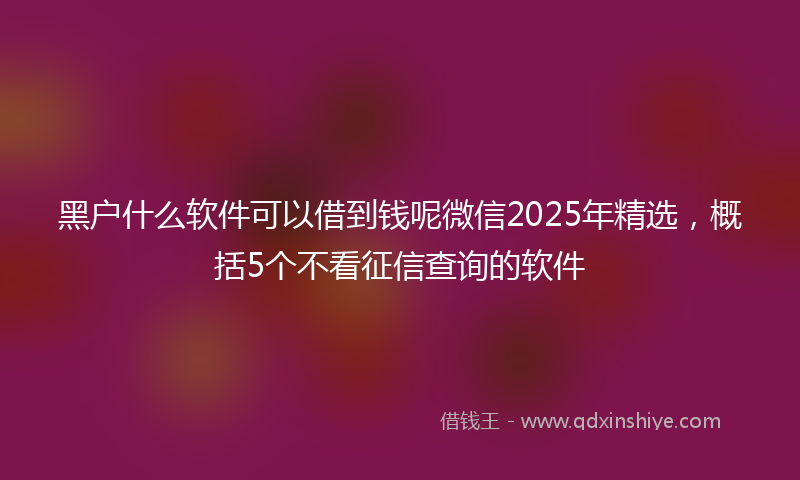 黑户什么软件可以借到钱呢微信2025年精选，概括5个不看征信查询的软件