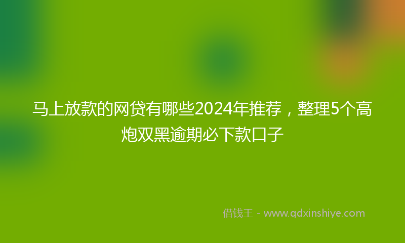 马上放款的网贷有哪些2024年推荐，整理5个高炮双黑逾期必下款口子