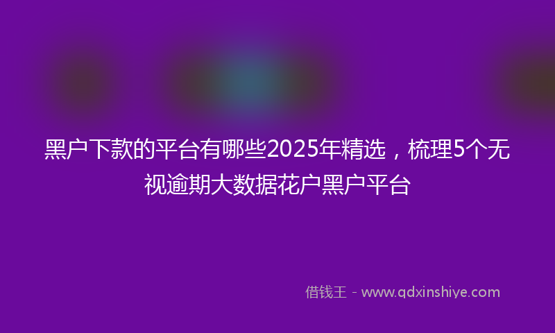 黑户下款的平台有哪些2025年精选，梳理5个无视逾期大数据花户黑户平台