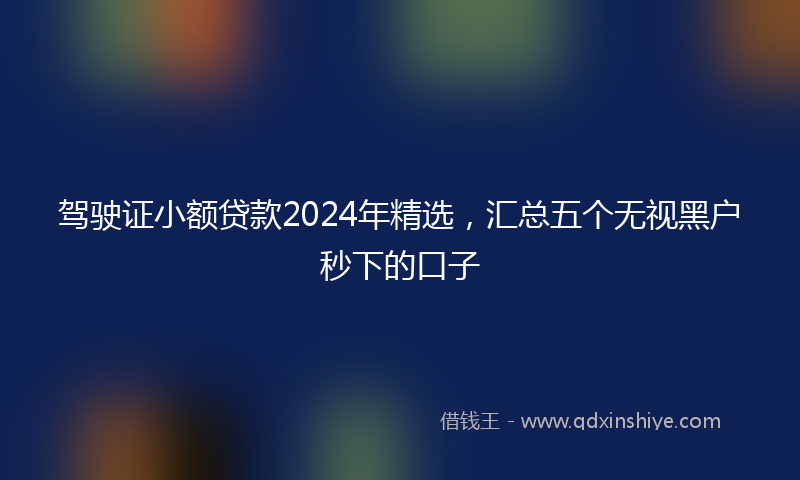 驾驶证小额贷款2024年精选，汇总五个无视黑户秒下的口子