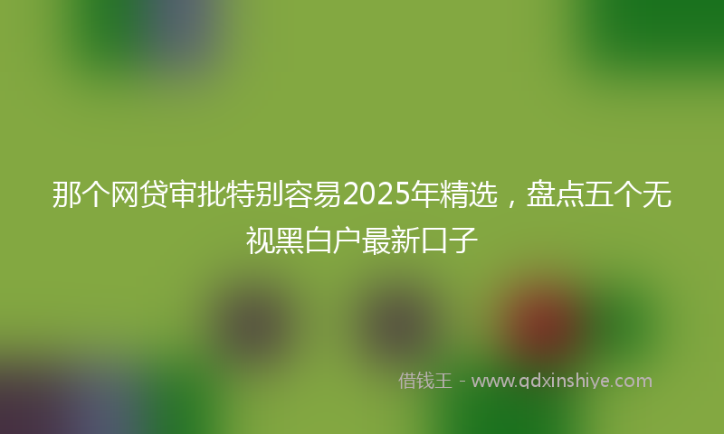 那个网贷审批特别容易2025年精选，盘点五个无视黑白户最新口子
