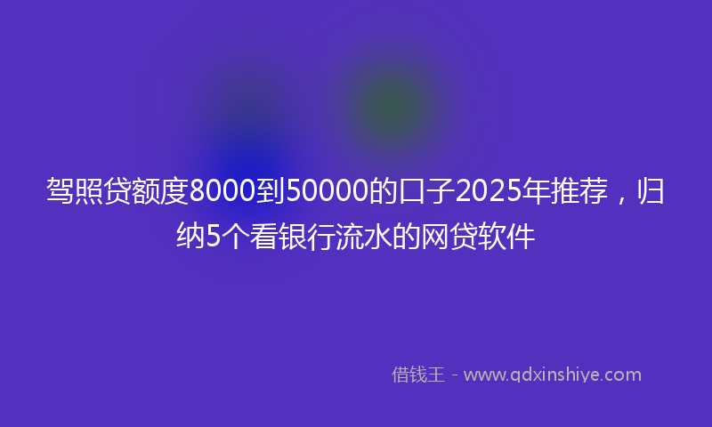 驾照贷额度8000到50000的口子2025年推荐，归纳5个看银行流水的网贷软件