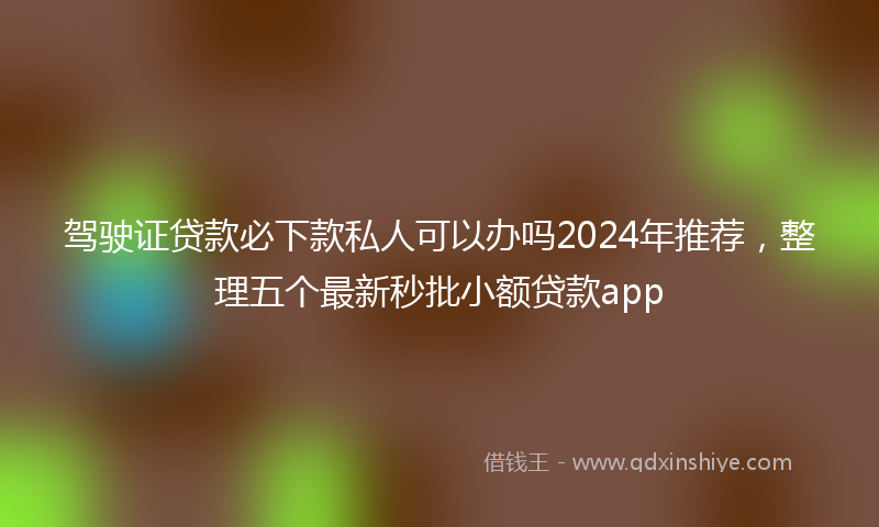 驾驶证贷款必下款私人可以办吗2024年推荐，整理五个最新秒批小额贷款app