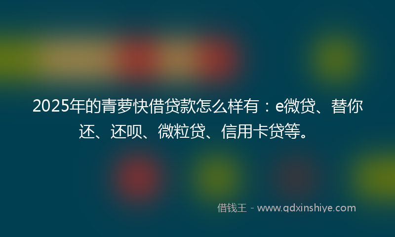 2025年的青萝快借贷款怎么样有：e微贷、替你还、还呗、微粒贷、信用卡贷等。