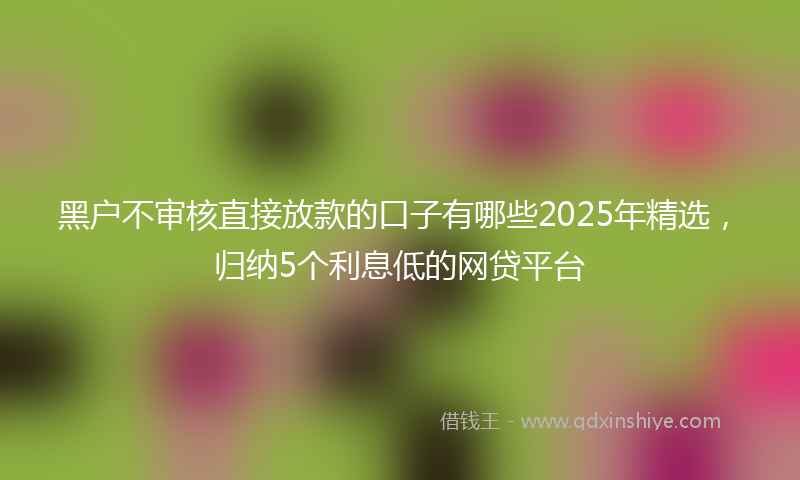 黑户不审核直接放款的口子有哪些2025年精选，归纳5个利息低的网贷平台