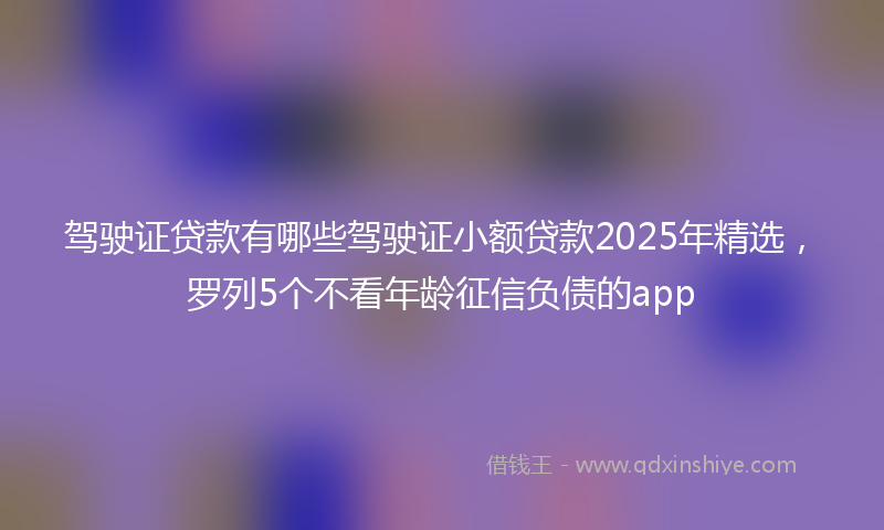 驾驶证贷款有哪些驾驶证小额贷款2025年精选，罗列5个不看年龄征信负债的app