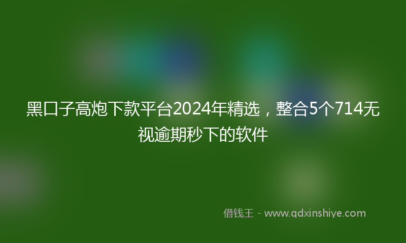 黑口子高炮下款平台2024年精选，整合5个714无视逾期秒下的软件