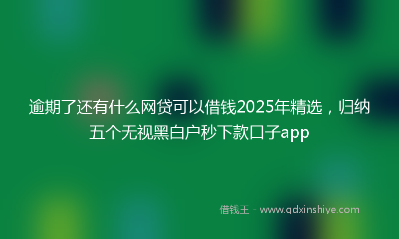 逾期了还有什么网贷可以借钱2025年精选，归纳五个无视黑白户秒下款口子app