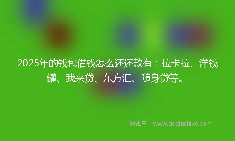 2025年的钱包借钱怎么还还款有：拉卡拉、洋钱罐、我来贷、东方汇、随身贷等。
