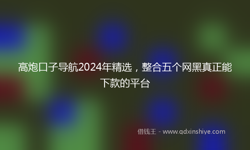 高炮口子导航2024年精选，整合五个网黑真正能下款的平台