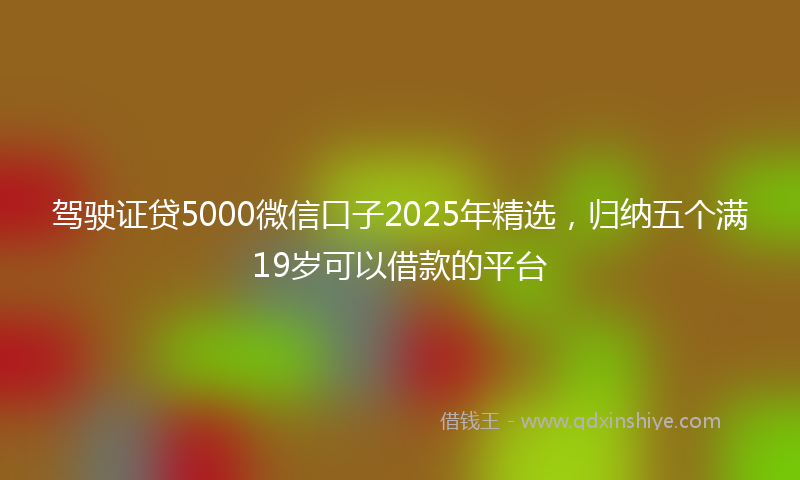 驾驶证贷5000微信口子2025年精选，归纳五个满19岁可以借款的平台