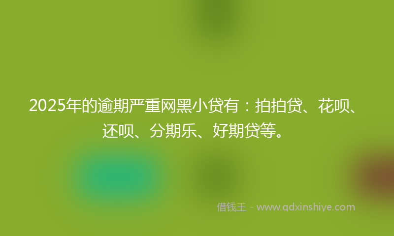 2025年的逾期严重网黑小贷有：拍拍贷、花呗、还呗、分期乐、好期贷等。