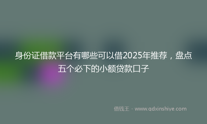 身份证借款平台有哪些可以借2025年推荐，盘点五个必下的小额贷款口子