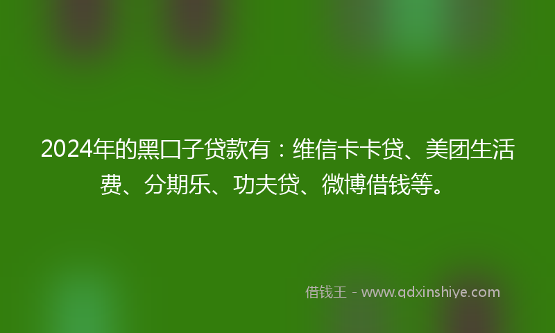 2024年的黑囗子贷款有：维信卡卡贷、美团生活费、分期乐、功夫贷、微博借钱等。