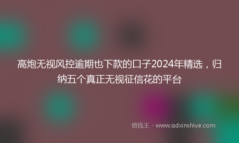 高炮无视风控逾期也下款的口子2024年精选，归纳五个真正无视征信花的平台