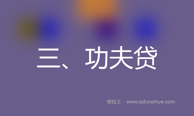 三、功夫贷