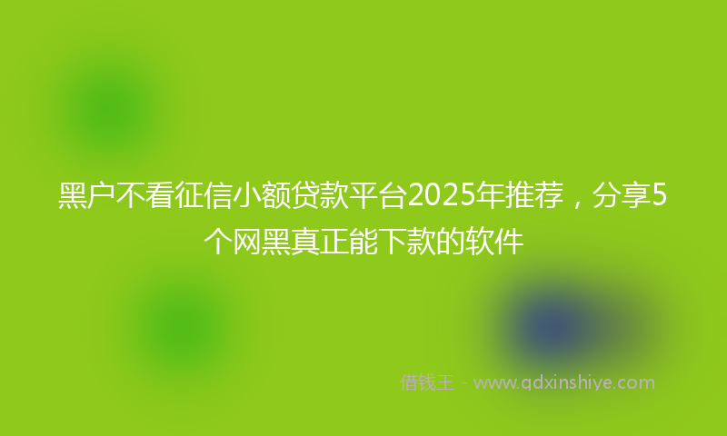 黑户不看征信小额贷款平台2025年推荐，分享5个网黑真正能下款的软件