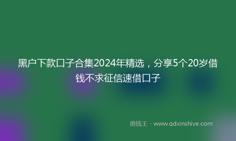 黑户下款口子合集2024年精选，分享5个20岁借钱不求征信速借口子
