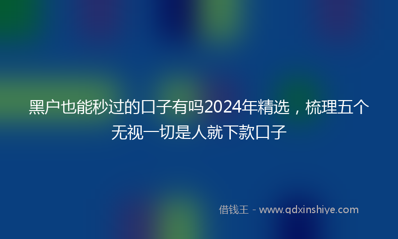黑户也能秒过的口子有吗2024年精选，梳理五个无视一切是人就下款口子