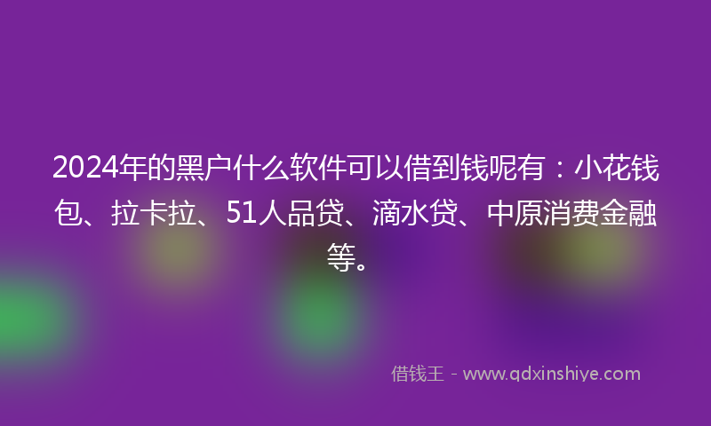 2024年的黑户什么软件可以借到钱呢有：小花钱包、拉卡拉、51人品贷、滴水贷、中原消费金融等。
