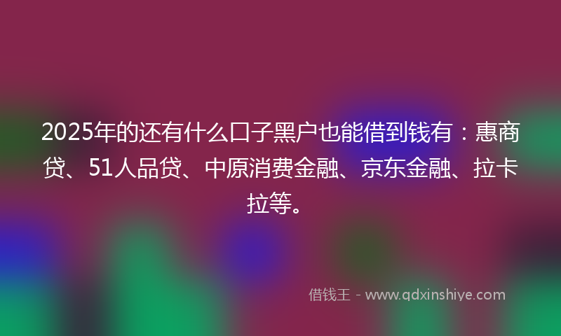2025年的还有什么口子黑户也能借到钱有：惠商贷、51人品贷、中原消费金融、京东金融、拉卡拉等。