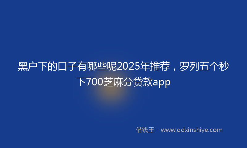 黑户下的口子有哪些呢2025年推荐，罗列五个秒下700芝麻分贷款app