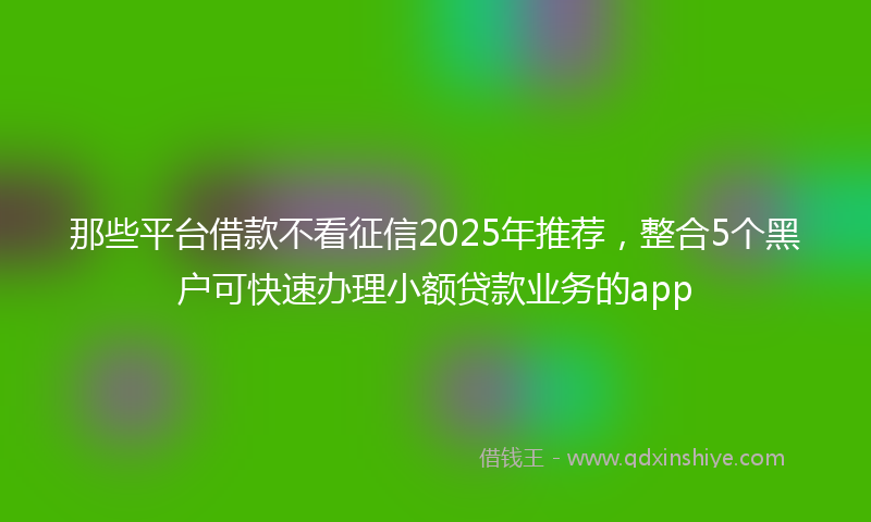 那些平台借款不看征信2025年推荐，整合5个黑户可快速办理小额贷款业务的app