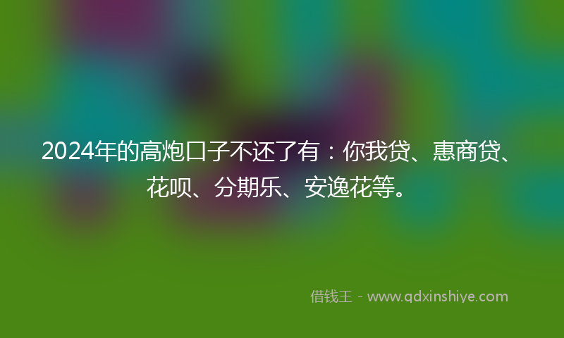 2024年的高炮口子不还了有：你我贷、惠商贷、花呗、分期乐、安逸花等。