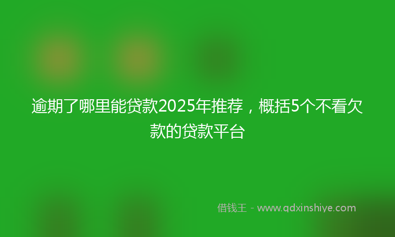 逾期了哪里能贷款2025年推荐，概括5个不看欠款的贷款平台
