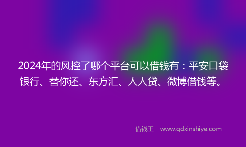 2024年的风控了哪个平台可以借钱有：平安口袋银行、替你还、东方汇、人人贷、微博借钱等。
