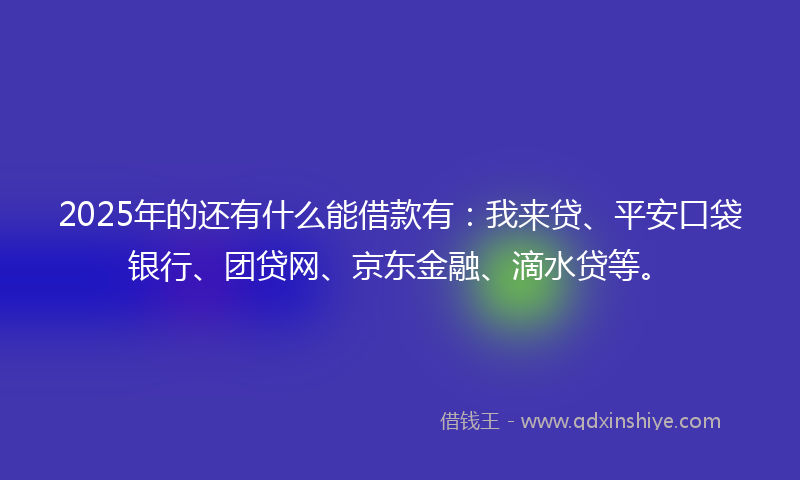 2025年的还有什么能借款有：我来贷、平安口袋银行、团贷网、京东金融、滴水贷等。