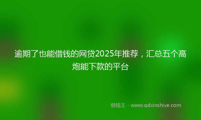 逾期了也能借钱的网贷2025年推荐，汇总五个高炮能下款的平台