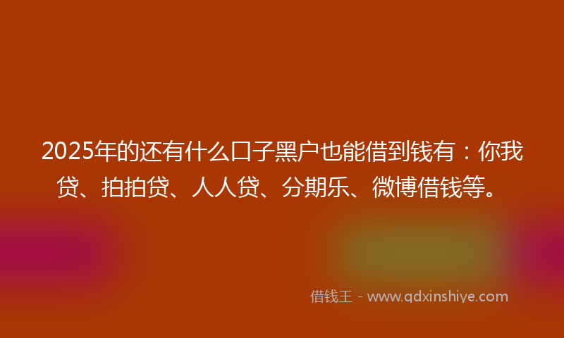 2025年的还有什么口子黑户也能借到钱有：你我贷、拍拍贷、人人贷、分期乐、微博借钱等。