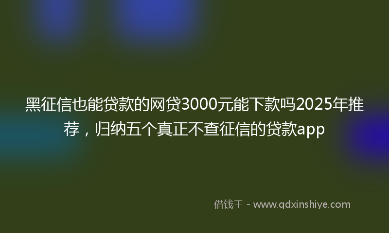 黑征信也能贷款的网贷3000元能下款吗2025年推荐，归纳五个真正不查征信的贷款app