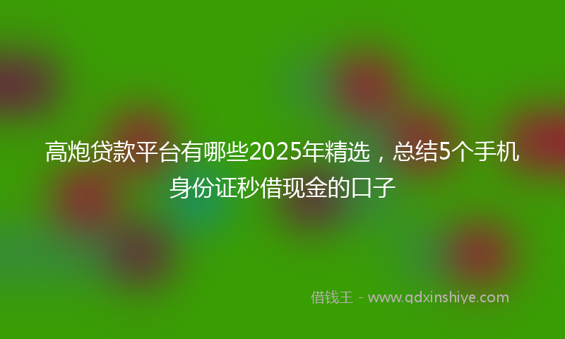 高炮贷款平台有哪些2025年精选，总结5个手机身份证秒借现金的口子