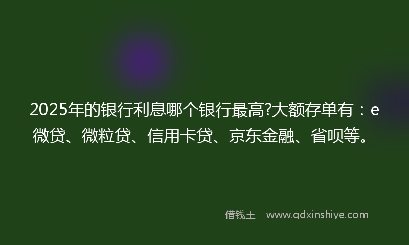 2025年的银行利息哪个银行最高?大额存单有：e微贷、微粒贷、信用卡贷、京东金融、省呗等。