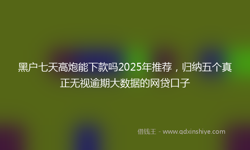 黑户七天高炮能下款吗2025年推荐，归纳五个真正无视逾期大数据的网贷口子