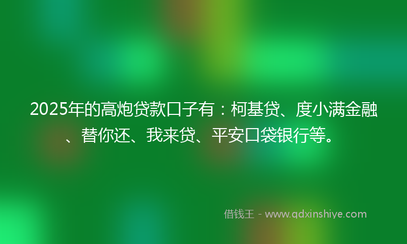 2025年的高炮贷款口子有：柯基贷、度小满金融、替你还、我来贷、平安口袋银行等。