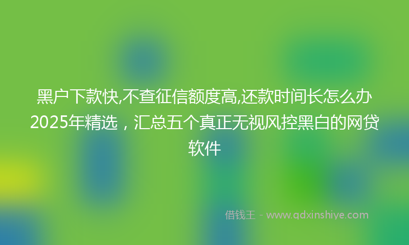 黑户下款快,不查征信额度高,还款时间长怎么办2025年精选，汇总五个真正无视风控黑白的网贷软件