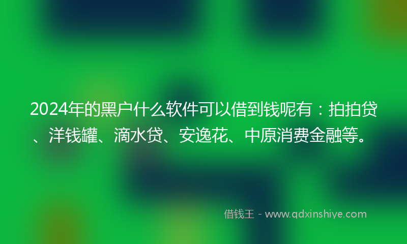 2024年的黑户什么软件可以借到钱呢有：拍拍贷、洋钱罐、滴水贷、安逸花、中原消费金融等。