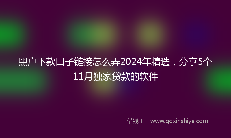 黑户下款口子链接怎么弄2024年精选，分享5个11月独家贷款的软件