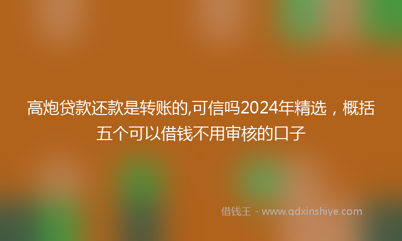 高炮贷款还款是转账的,可信吗2024年精选，概括五个可以借钱不用审核的口子